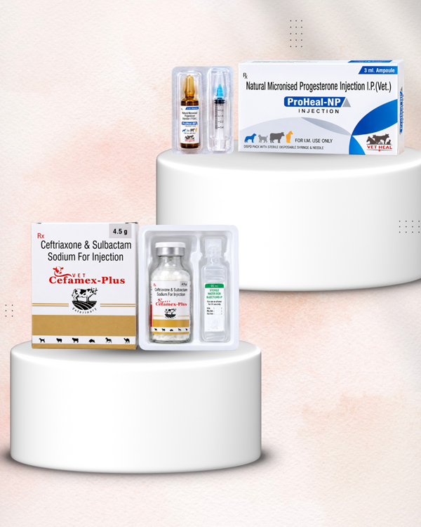 Vet Heal veterinary injectable product