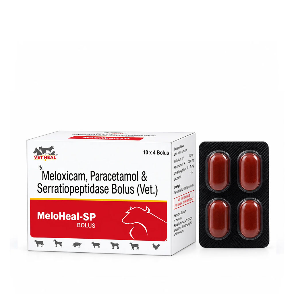 MELOHEAL-SP