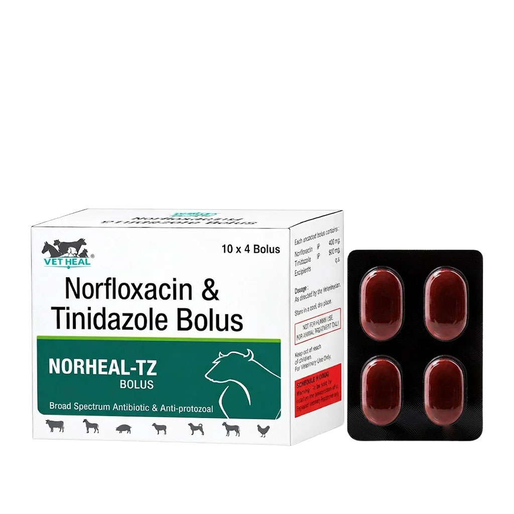 NORHEAL-TZ