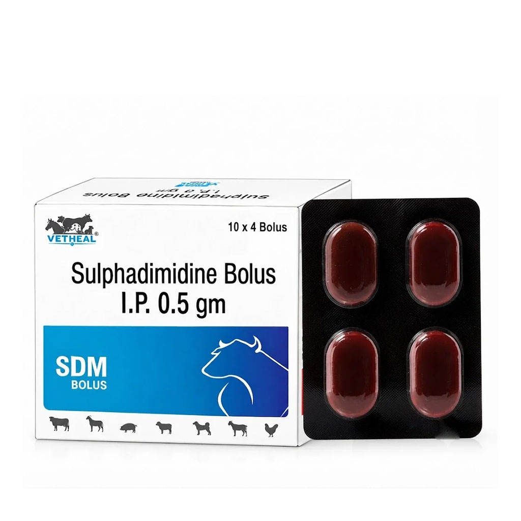 SDM BOLUS