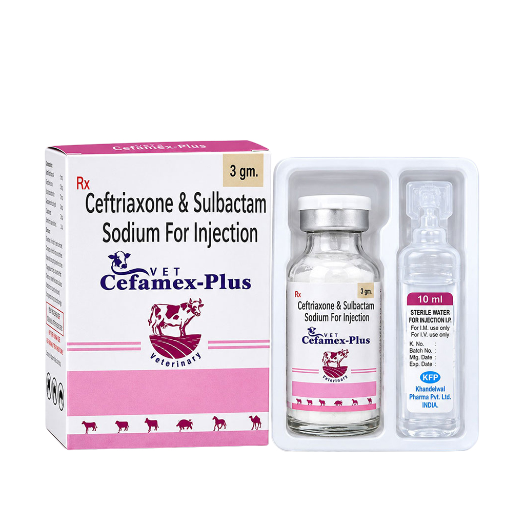 CEFAMEX-PLUS (3GM)