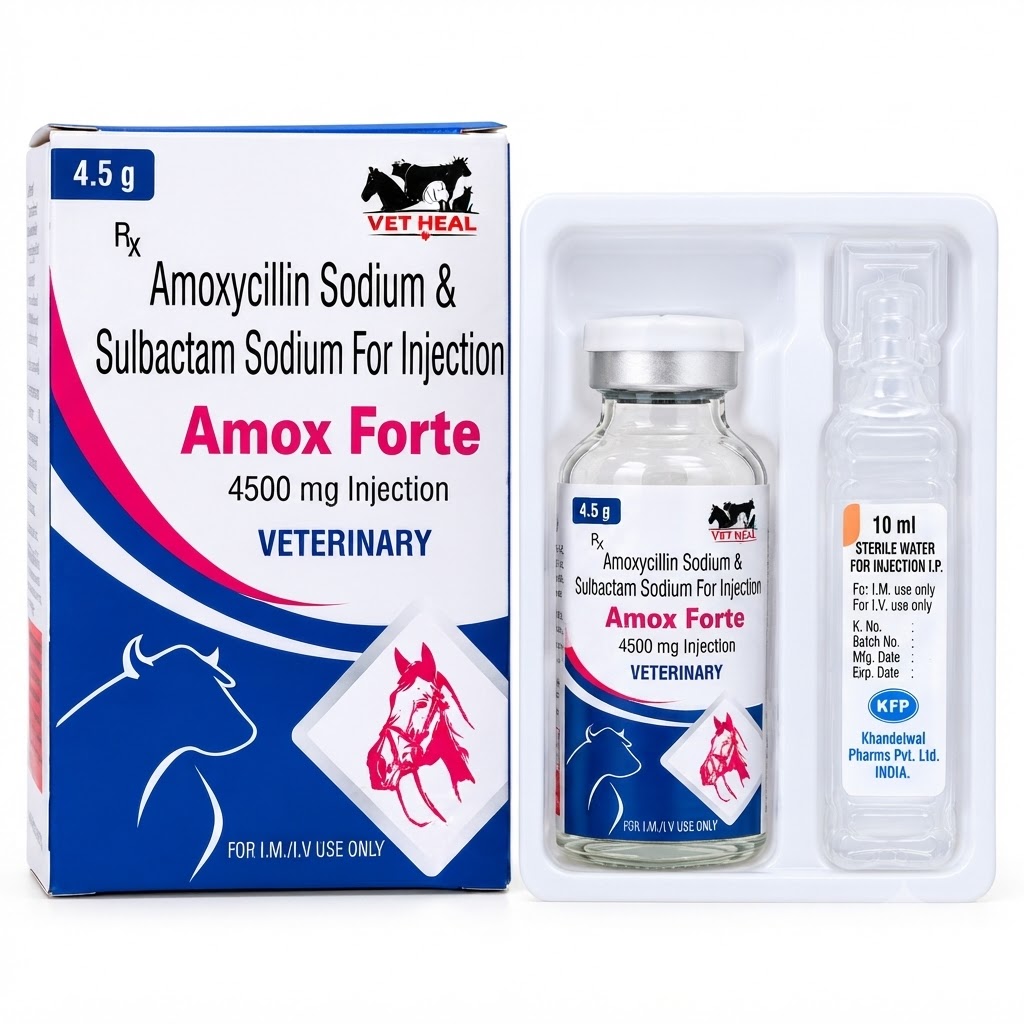 AMOX FORTE (4.5GM)