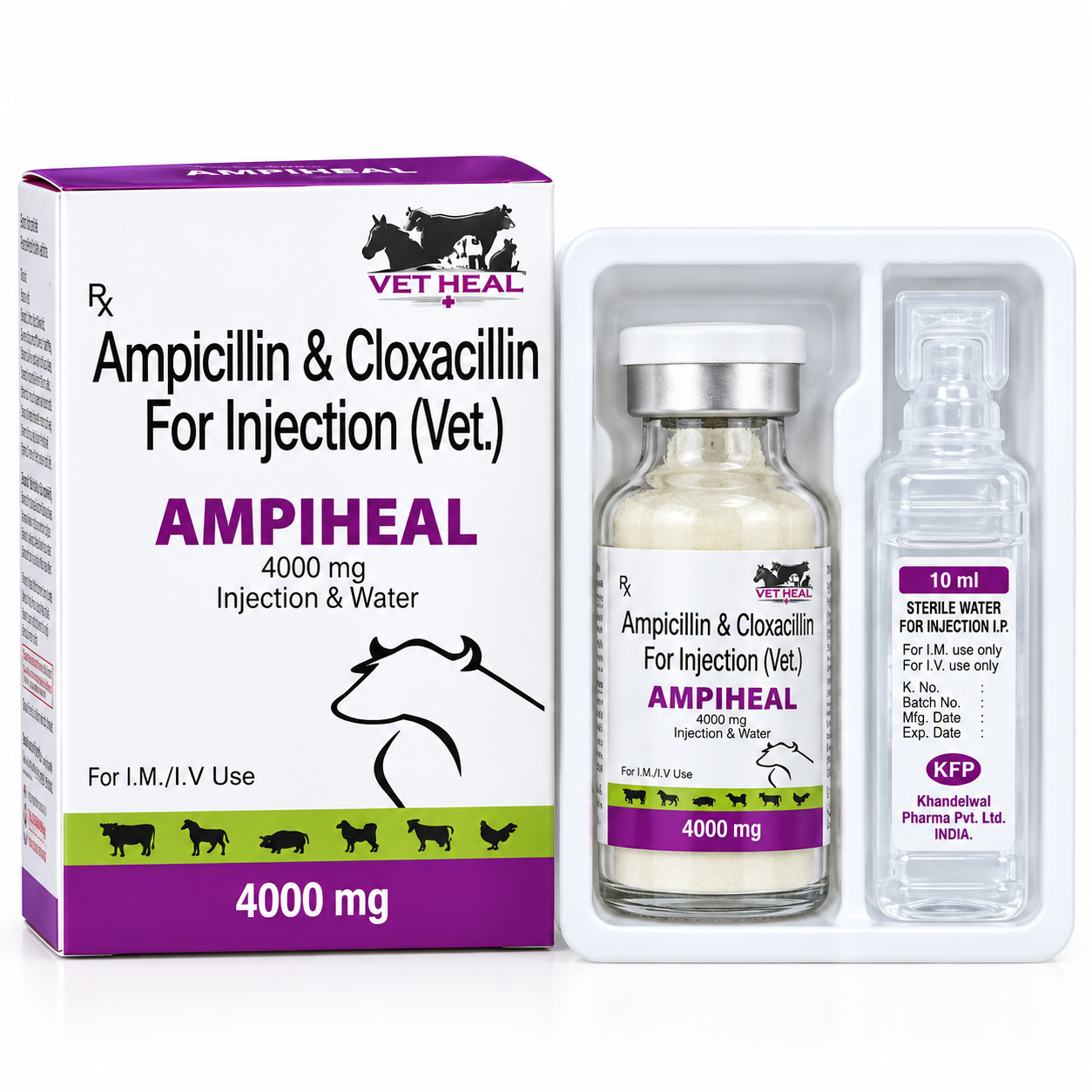 AMPIHEAL (4000MG)