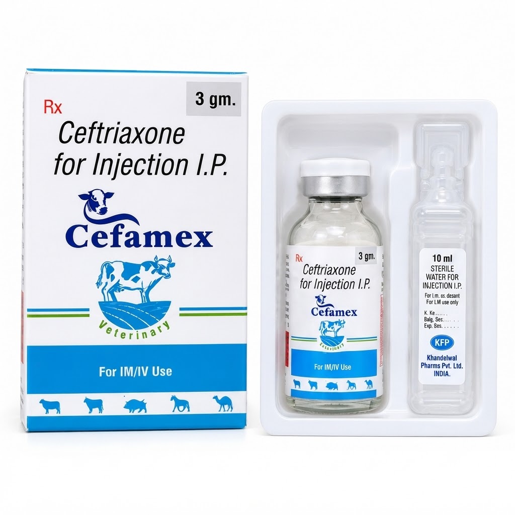 CEFAMEX (3GM)