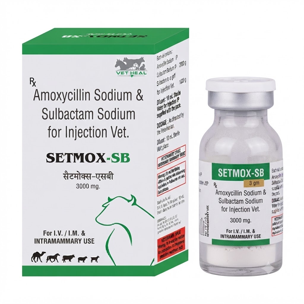 SETMOX-SB (3GM)