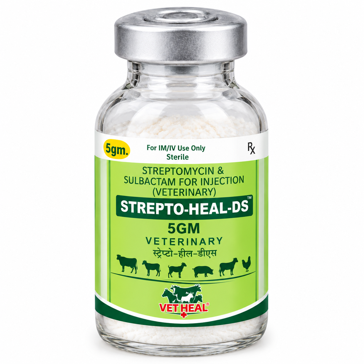 STREPTO-HEAL-DS (5GM)