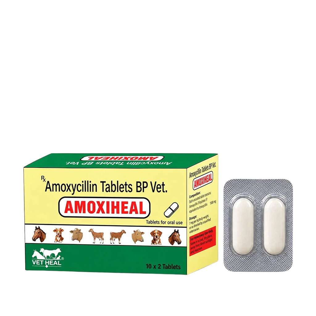 AMOXIHEAL